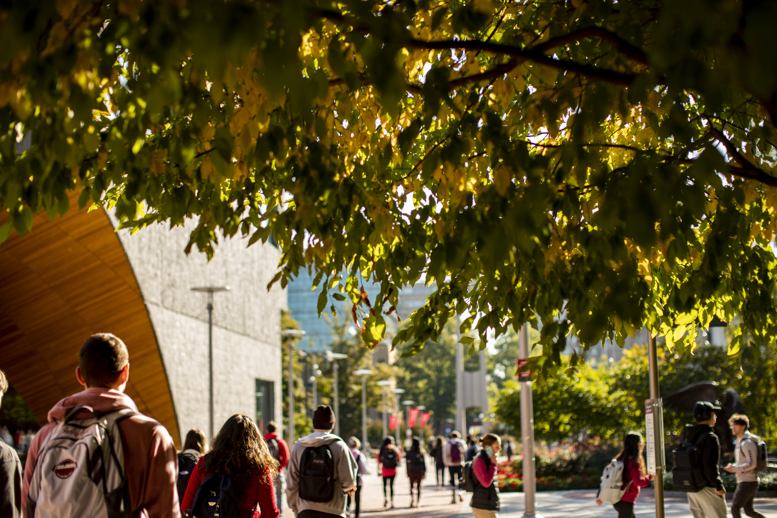 Students walking on Main Campus