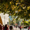 Students walking on Main Campus on a sunny fall day