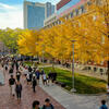 Students on Polett Walk at Main Campus on a sunny day